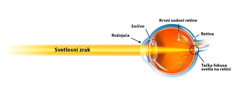 očno sočivo